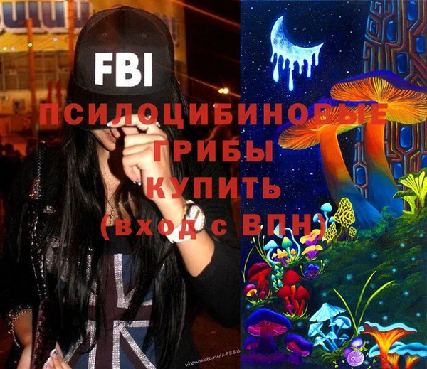 ГАЛЛЮЦИНОГЕННЫЕ ГРИБЫ Балабаново