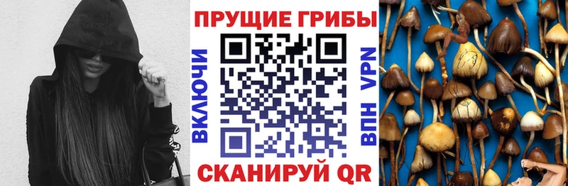 Псилоцибиновые грибы прущие грибы  Пролетарск 